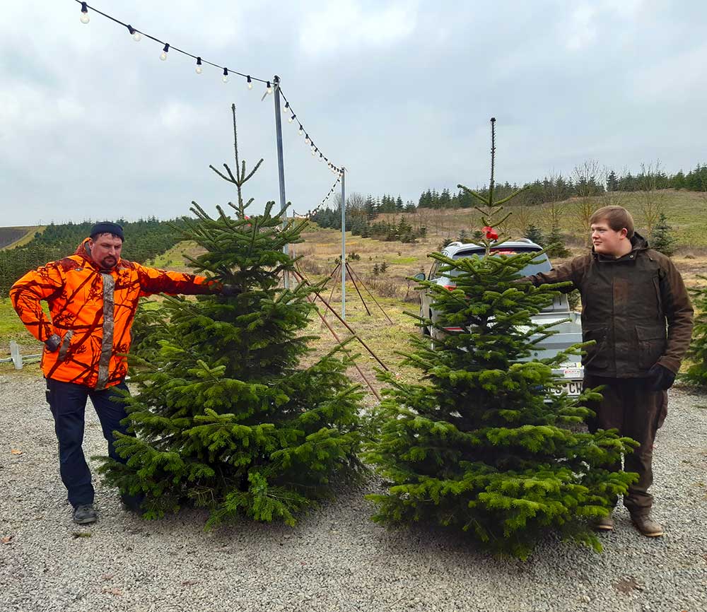 Christbaumland-selber-faellen